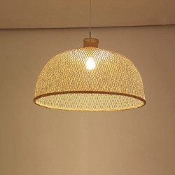 Bamboo Pendant [Display]